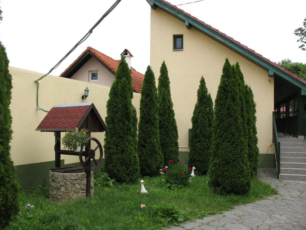 Pensiunea Sub Cetate Cisnădie Exterior photo