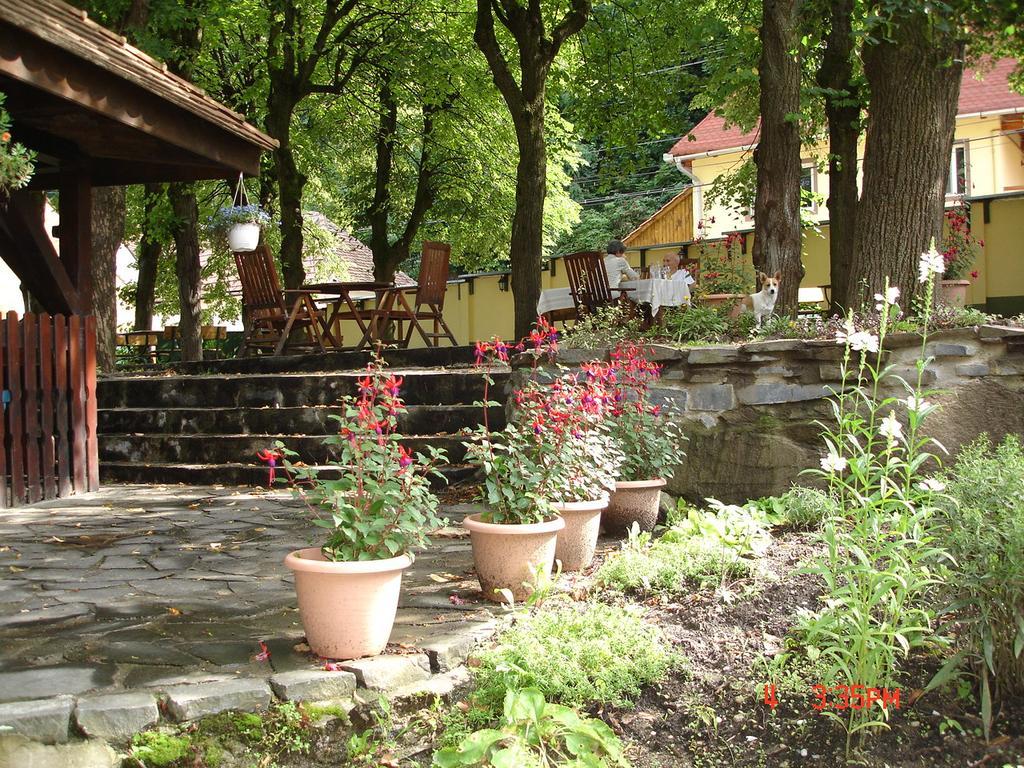 Pensiunea Sub Cetate Cisnădie Exterior photo
